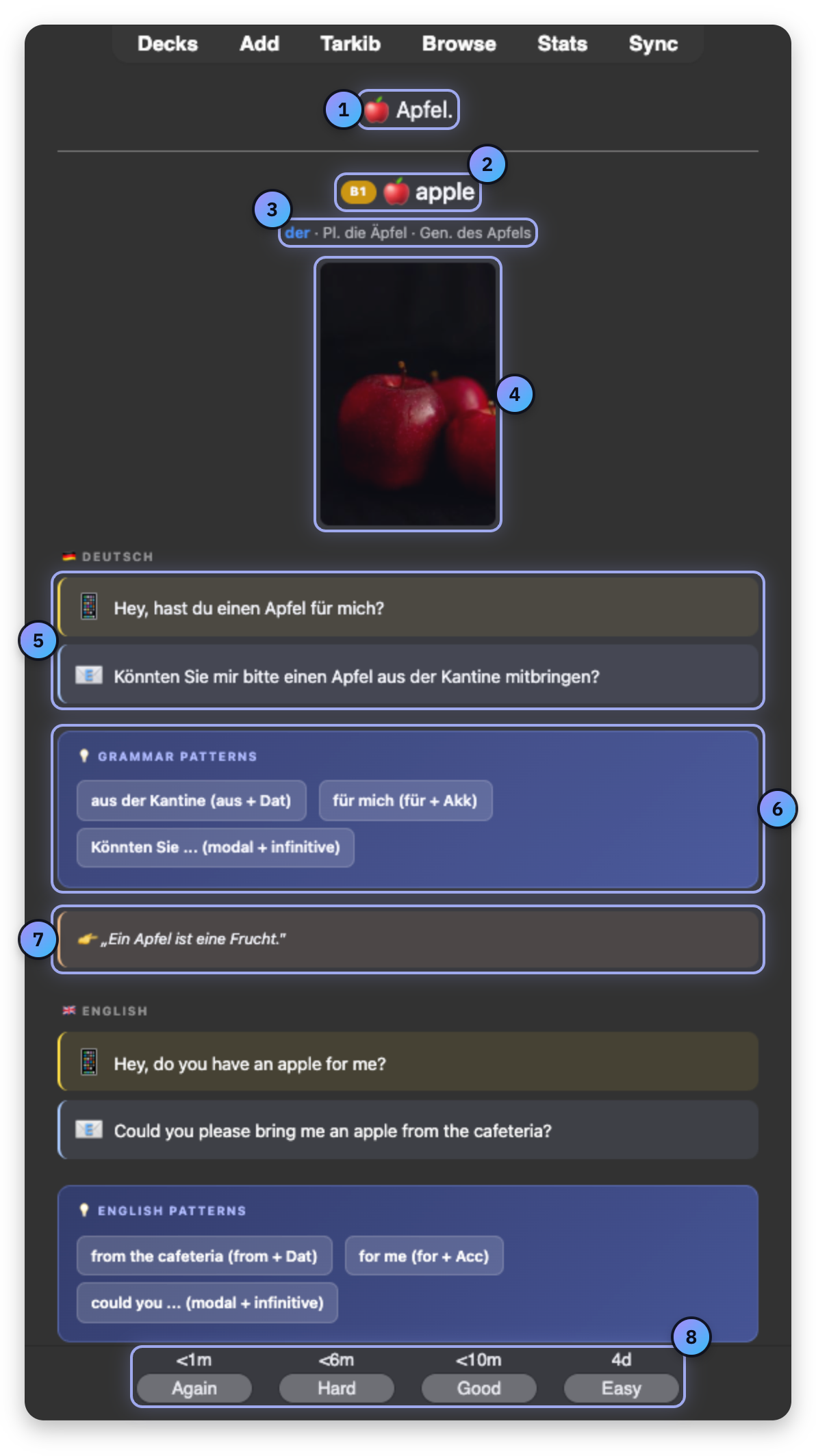 Screenshot with numbered marks: Your word, Meaning and level, Article and plural, Photo, Two sentences, Grammar patterns, Explanation, Answer buttons