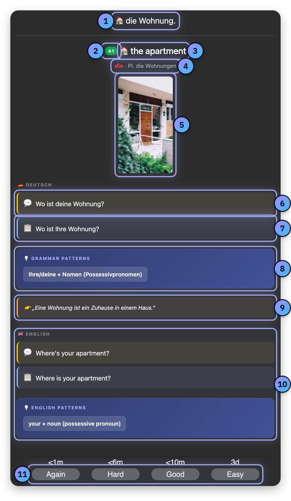 Screenshot with numbered marks: The German word, Level, Meaning, Article and plural, Picture, Casual sentence, Formal sentence, Grammar patterns, Explanation, In your language, How well you knew it